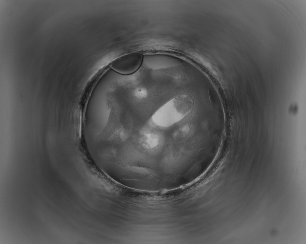 X0000100471219200806201559