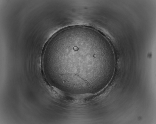 X0000100471220200806201559