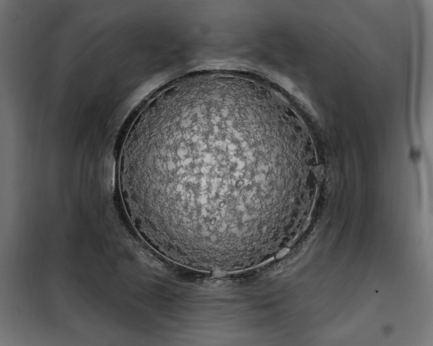 X0000100471221200806201559