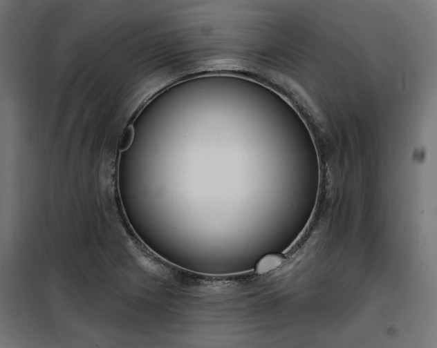 X0000100471225200806201559