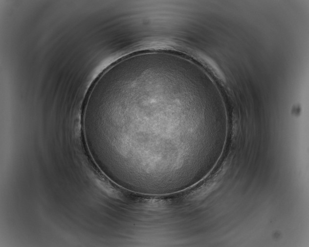 X0000100471226200806201559