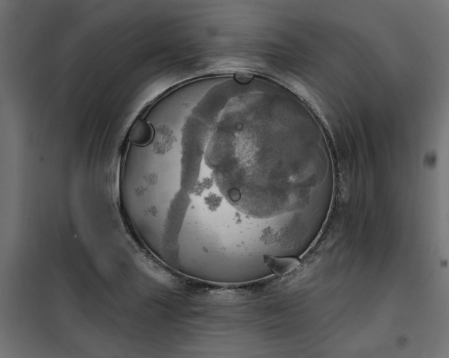 X0000100471227200806201559