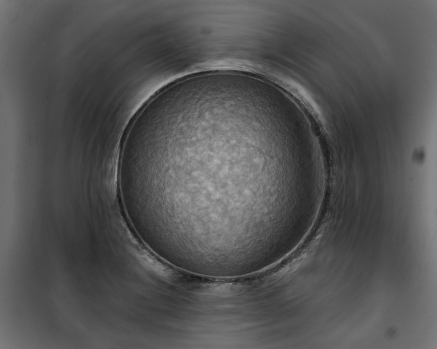 X0000100471228200806201559