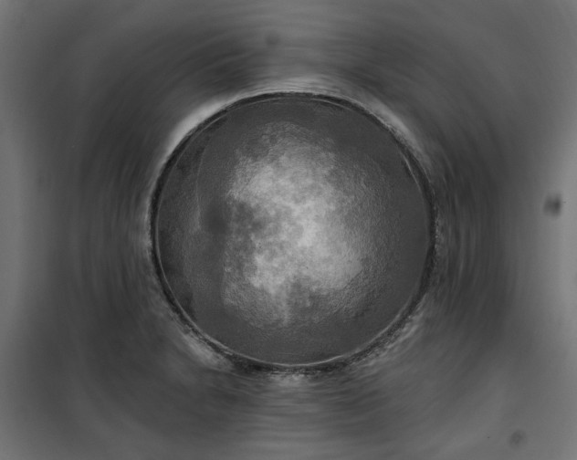 X0000100471230200806201559