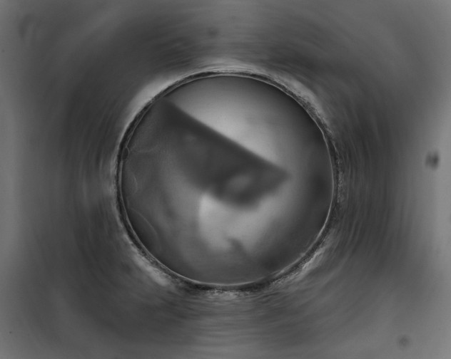 X0000100471231200806201559