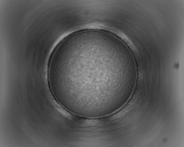 X0000100471232200806201559