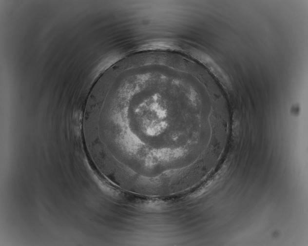 X0000100471233200806201559