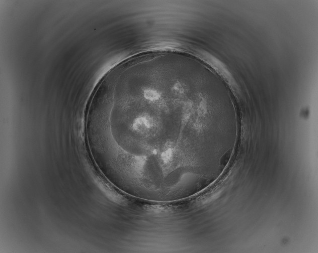 X0000100471234200806201559