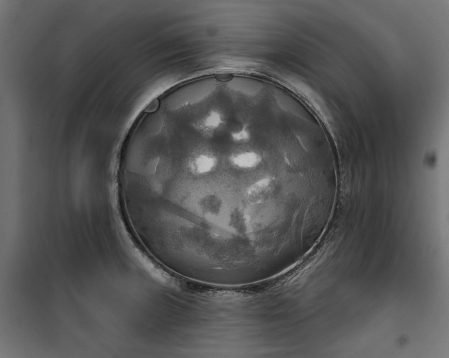 X0000100471235200806201559