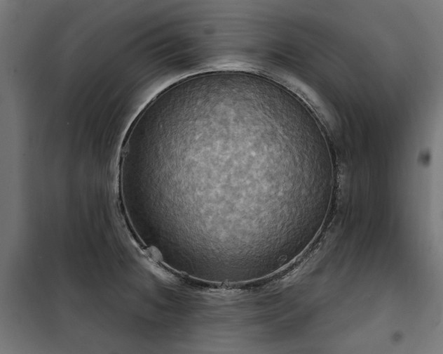 X0000100471236200806201559