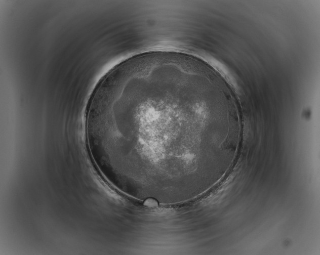 X0000100471238200806201559