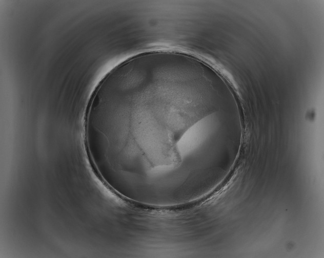 X0000100471239200806201559