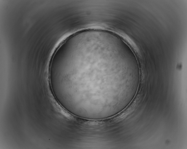 X0000100471240200806201559