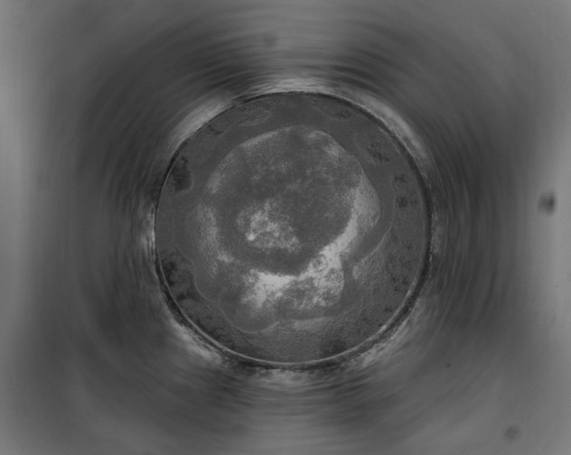 X0000100471241200806201559