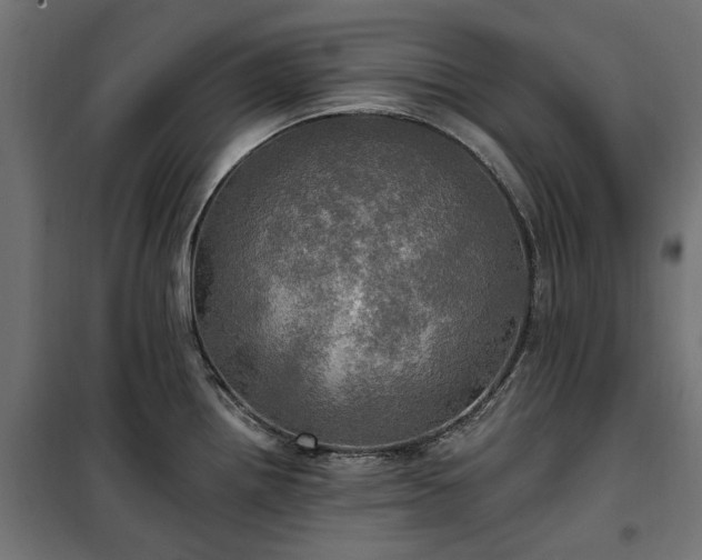 X0000100471242200806201559