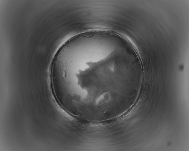 X0000100471243200806201559