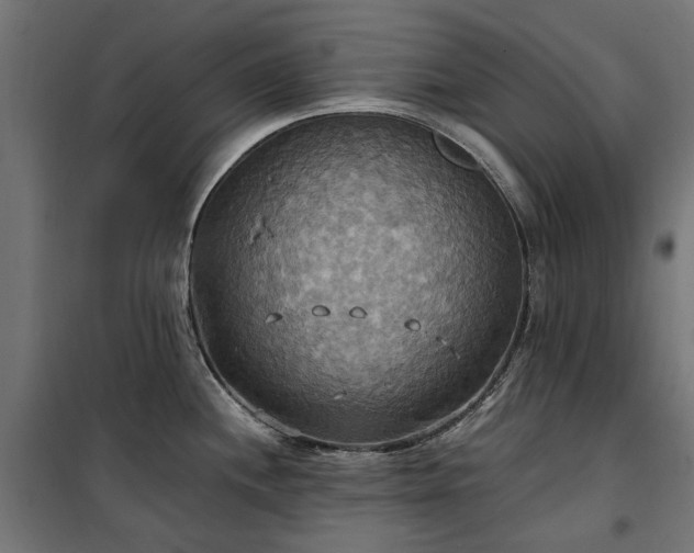 X0000100471244200806201559