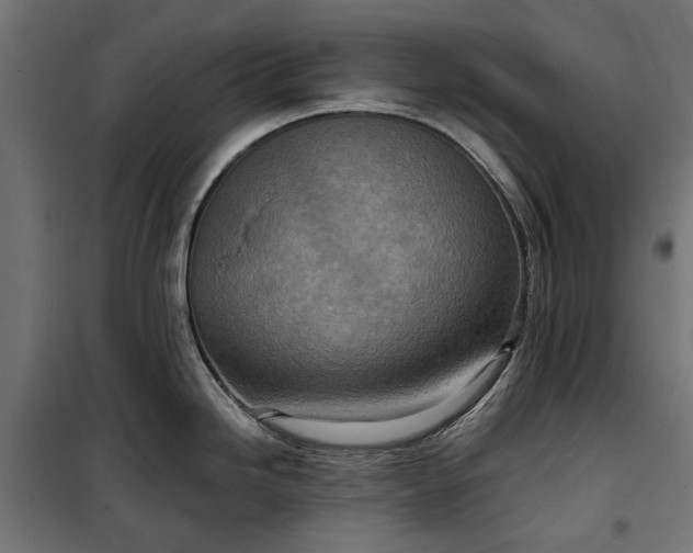 X0000100471246200806201559