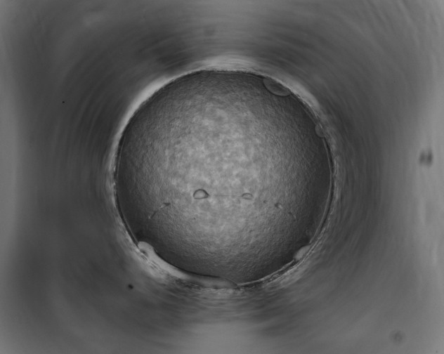 X0000100471248200806201559