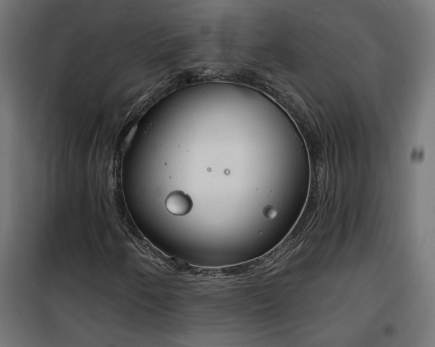 X0000100471250200806201558