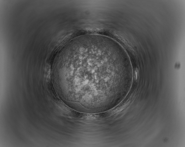 X0000100471251200806201558