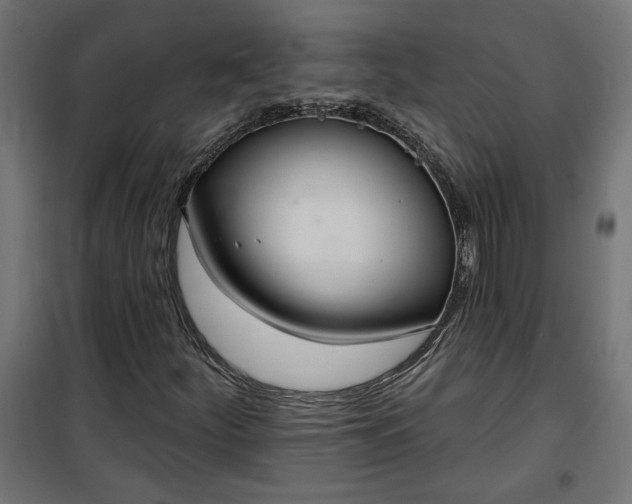 X0000100471252200806201558