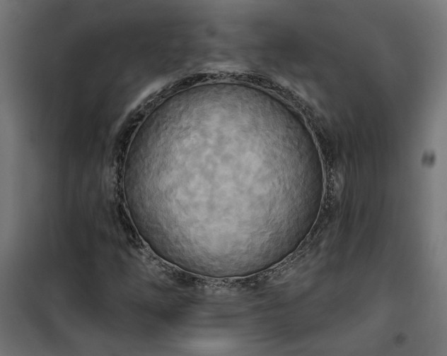 X0000100471254200806201558