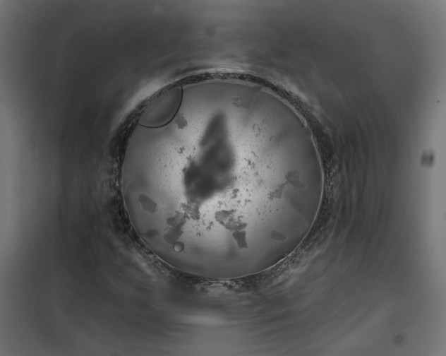 X0000100471255200806201558