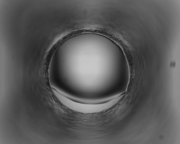 X0000100471256200806201558