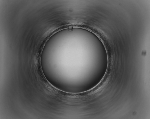 X0000100471257200806201558