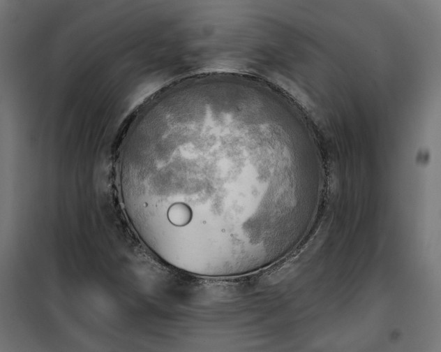 X0000100471258200806201558