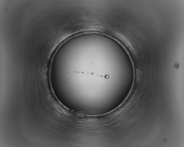 X0000100471260200806201558