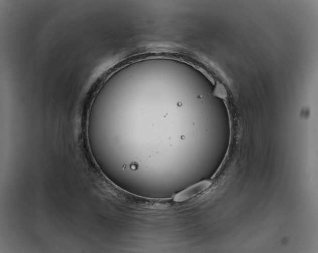 X0000100471261200806201558