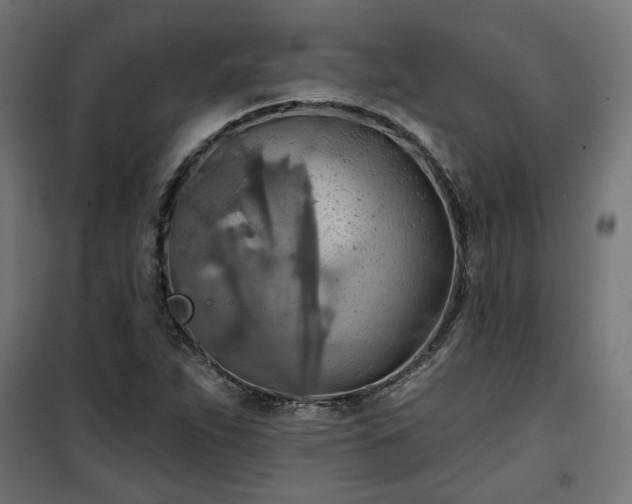 X0000100471263200806201558