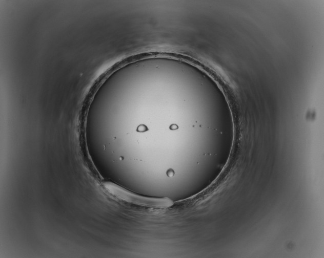 X0000100471264200806201558