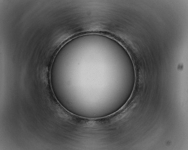 X0000100471265200806201558