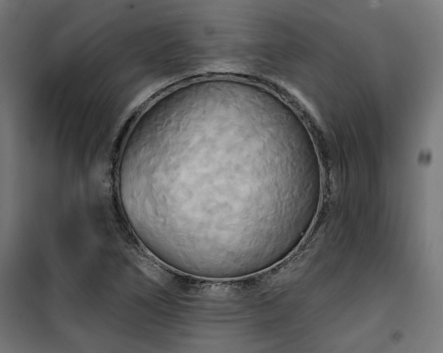 X0000100471266200806201558