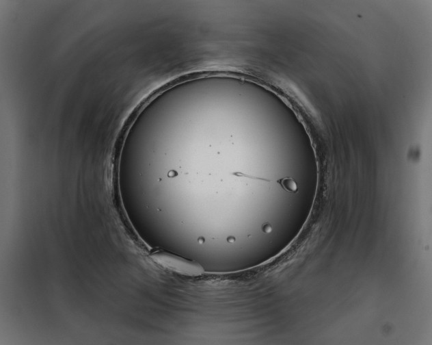 X0000100471268200806201558