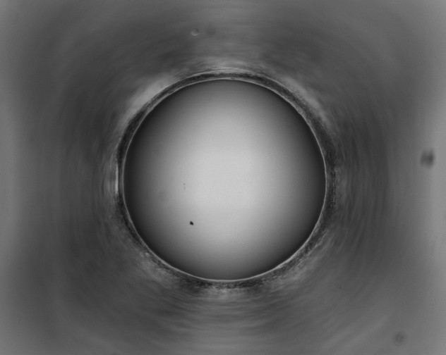 X0000100471269200806201558