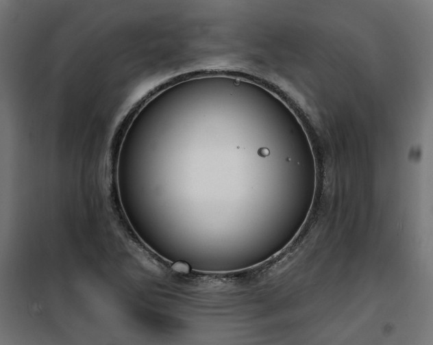 X0000100471270200806201558