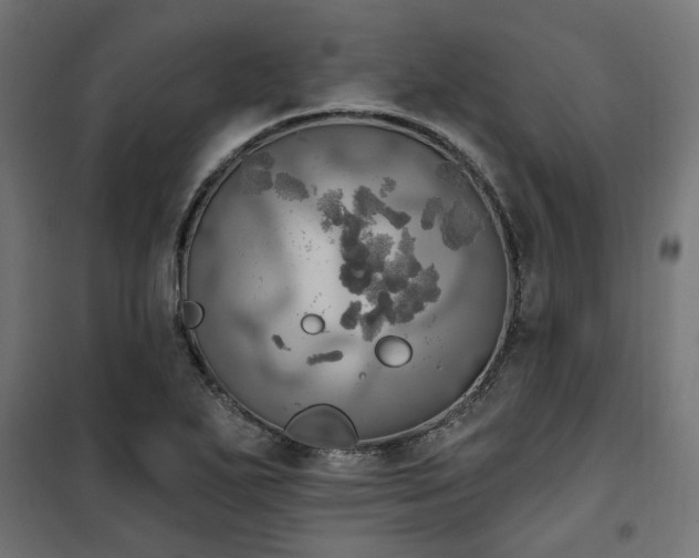 X0000100471271200806201558