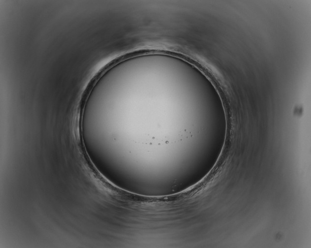 X0000100471272200806201558