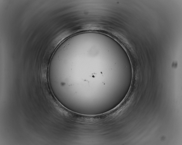 X0000100471273200806201558