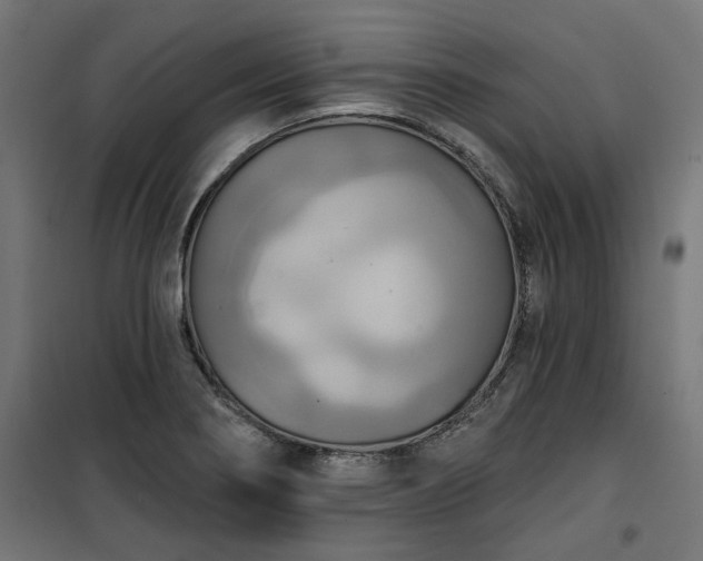 X0000100471274200806201558