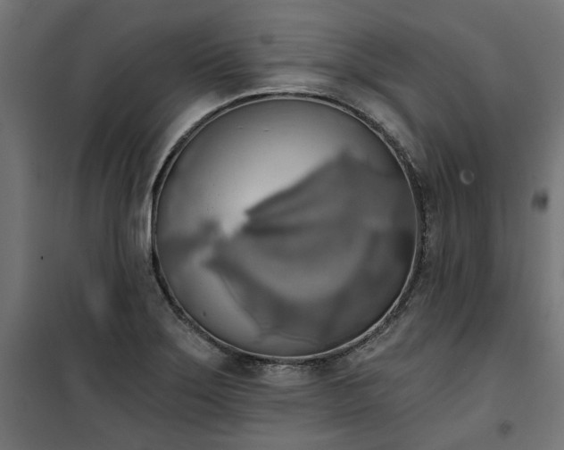 X0000100471275200806201558