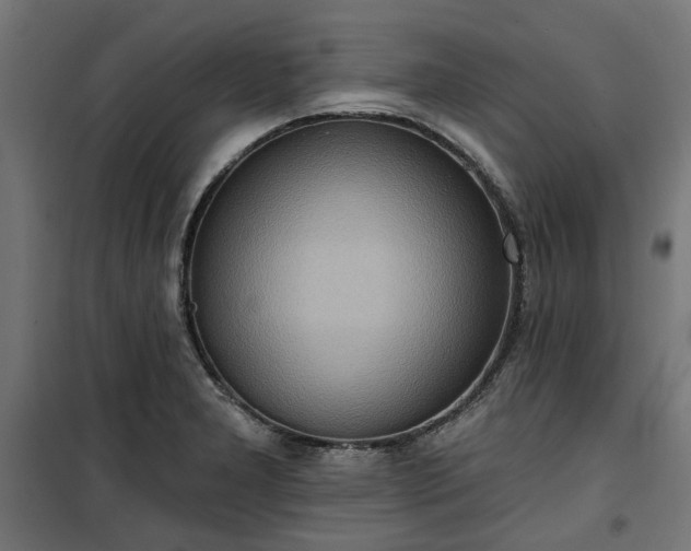 X0000100471277200806201558