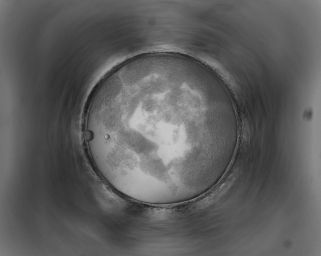 X0000100471278200806201558