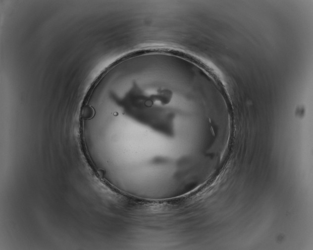 X0000100471279200806201558