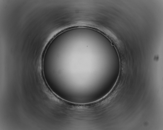 X0000100471280200806201558