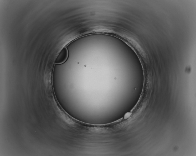 X0000100471281200806201558